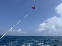 肳̋{ÓpZ[O all good marine 385ւ̓eʐ^1