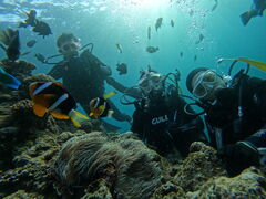 oIoũ}T[rXނʁ[ւ̓eʐ^1