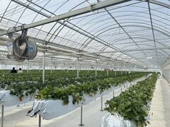 Ђ낳̃_NoYt@[ւ̓eʐ^1