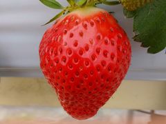 [炳̉ʎ̗@c_ւ̓eʐ^1