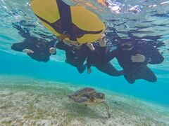 ł񂳂OCEAN LIFEւ̓eʐ^1