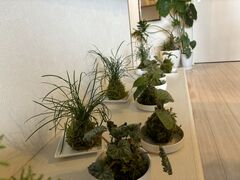 Ⴓ񂳂̘a܂Ȃщ؋ւ̓eʐ^1