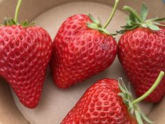 miyukĩIAVXt@[ԓ{؂ւ̓eʐ^1