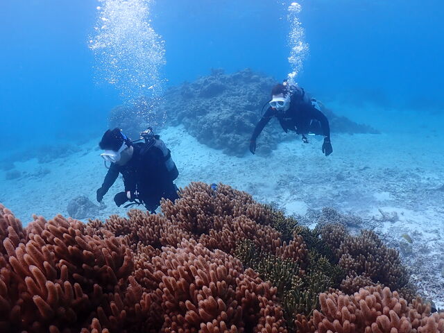 �J���オ���Ă����Ȃ̂ɂ���Ȃɐ����̓L���C�ł��B_���Ⴑ����