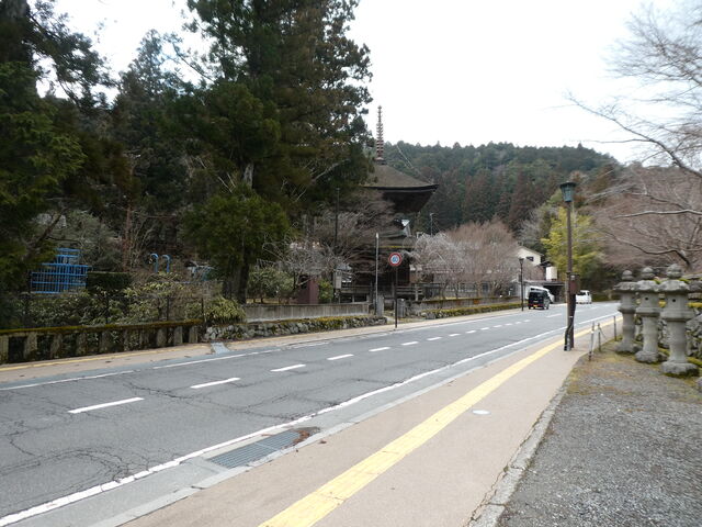 �g������̋��֓��̓��e�ʐ^1