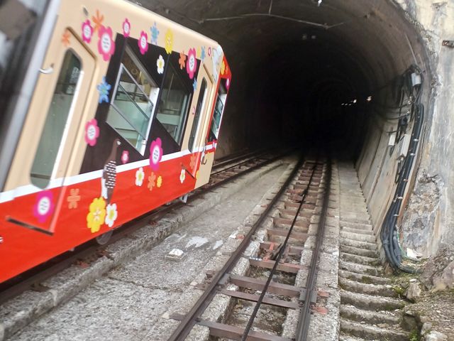 tHƖ邢bsO J[̗R P[uJ[ ͑fGłˁ[_RAy[gRP[uJ[