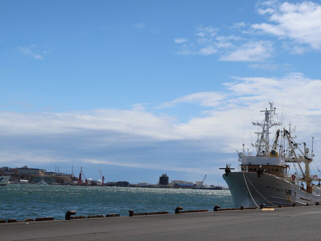 X̖ڂ̑O߂C_H@됅YZ^[X