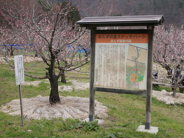 ���񂸉��̈ē��}�ł�_���񂸂̗��X�P�b�`�p�[�N