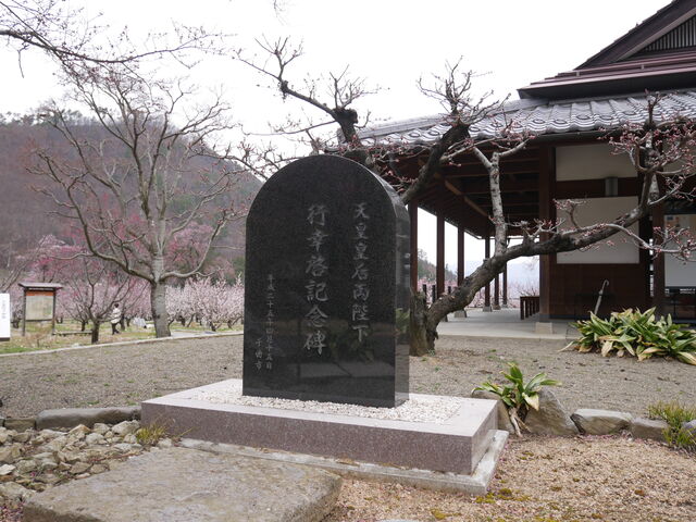 �����V�c�L�O��ł�_���񂸂̗��X�P�b�`�p�[�N