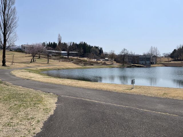 �ꗬ�̃��]�[�g�ł��B_���Ă܍������]�[�g�@�x���i�e�B�I