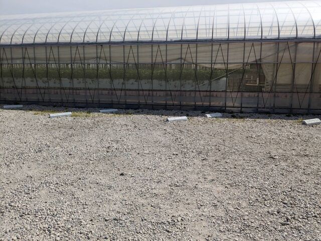 ���ԏ�_�R���R���������t�@�[��