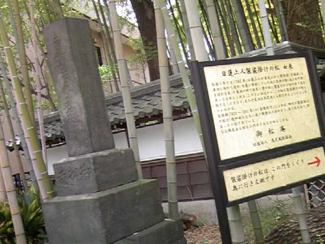 ��΂Ɍ�����䏼��������_������