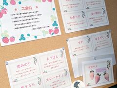 hidepô܂ނ_ւ̓eʐ^1