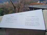 60̃Xm[{[h񂳂̑ze̓eʐ^4