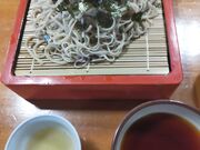 ڂ̎Ő ނ MC{X̓eʐ^2