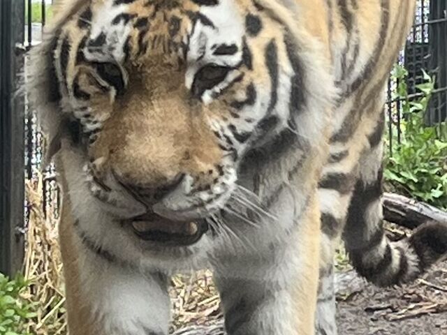 ��_���R������