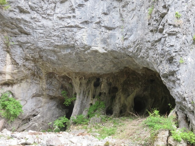 �奁i�Ƃ��낤�j�̊≮_���쎩�R�����H