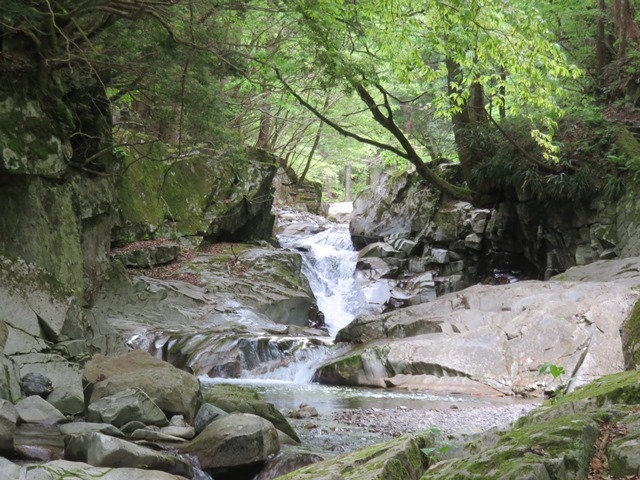 �������̑� _���쎩�R�����H