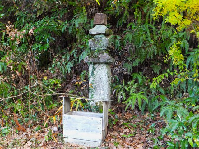 ڂ炳̘a򎮕{̓eʐ^1