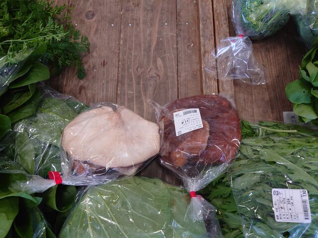 �R�������s�@���̉w �n�s�l�X�ӂ���_���̉w �n�s�l�X�ӂ���