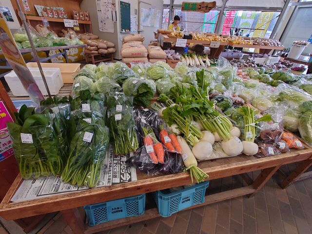 �R�������s�@���̉w �n�s�l�X�ӂ���_���̉w �n�s�l�X�ӂ���