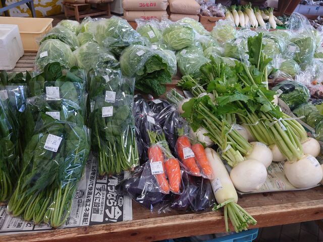 �R�������s�@���̉w �n�s�l�X�ӂ���_���̉w �n�s�l�X�ӂ���