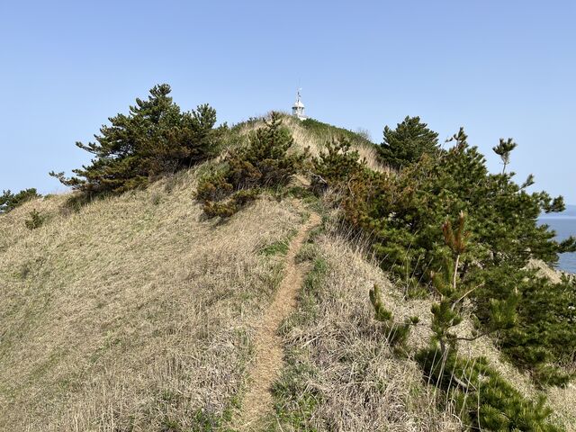 ����ɑ������X�g�X�p�[�g�̗Ő��̗��T�C�h�ɂ͗����p�ƐX�p���L����_�哇