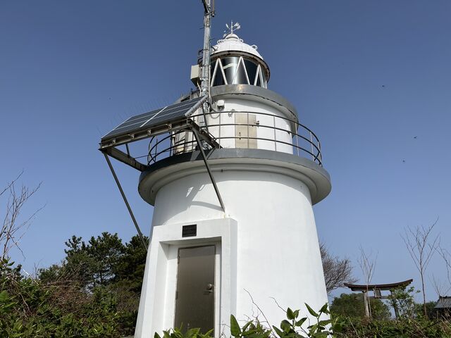 �����哇����_�哇