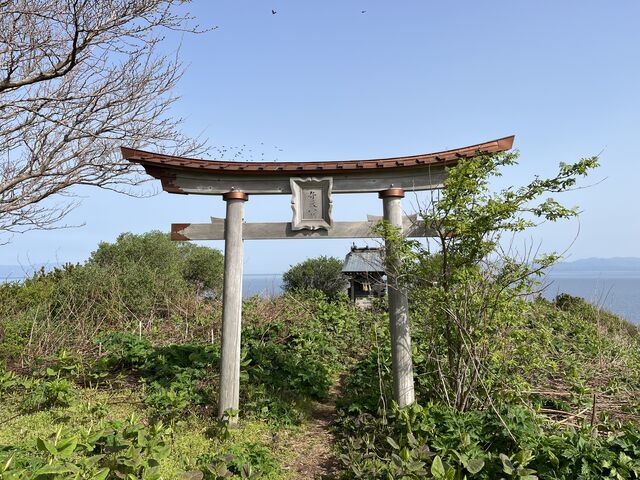 ����̂������ɕٓV�{_�哇