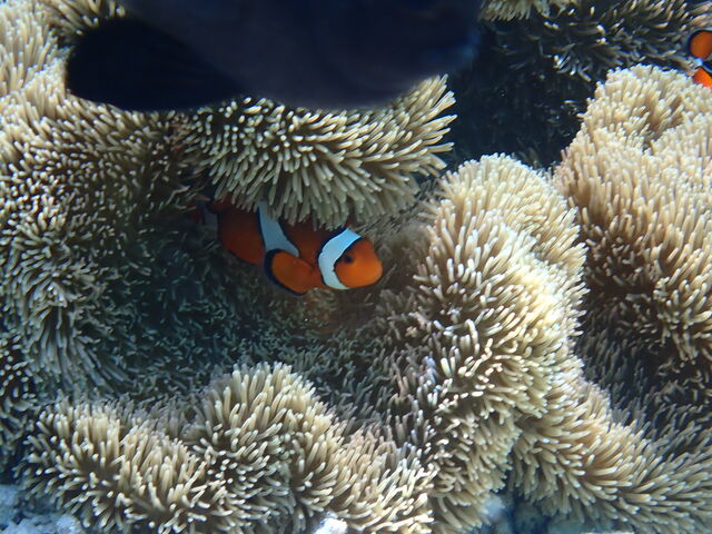 �X���_�����