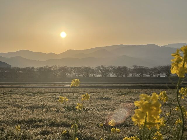 �����̓��̏o�́A���ɂ̒��ő����ȕ��͋C�ł����B_�v�g����̃`���[���b�v��