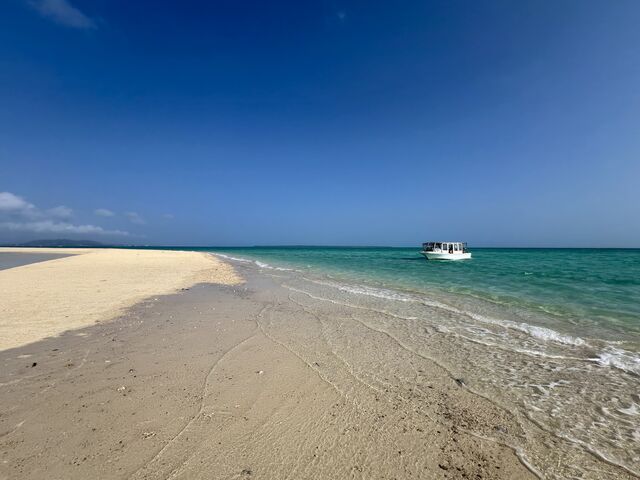 �V���݂������Y��ł���_�}�������W���[�V�����M