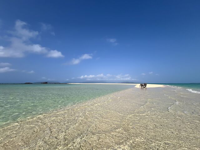 �Z�����ԂŒ��������Ă��Či�F���ς��̂����͂ł�_�}�������W���[�V�����M