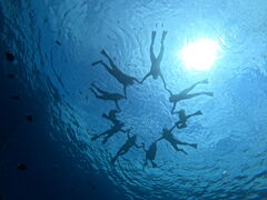 ܂񂳂̖` ꑍAEghAcA[Xւ̓eʐ^1