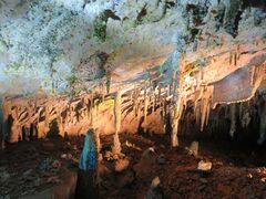貴重なストロー鍾乳管見学 - 面不動鍾乳洞のクチコミ - じゃらんnet