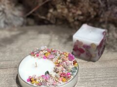 SEND Hiroshima̎ʐ^1