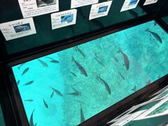 �Ȃ�����̃u�Z�i�C�������ւ̓��e�ʐ^1