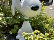 L܂܂̓쒬cOx[p[N̓eʐ^1