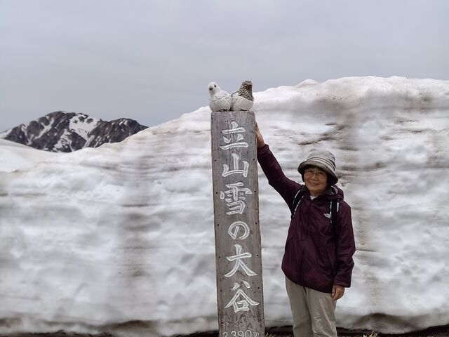 xRP[uƃoX80㌳RK[s܂IT{ł܂RႪ܂B_RAy[gyxRz