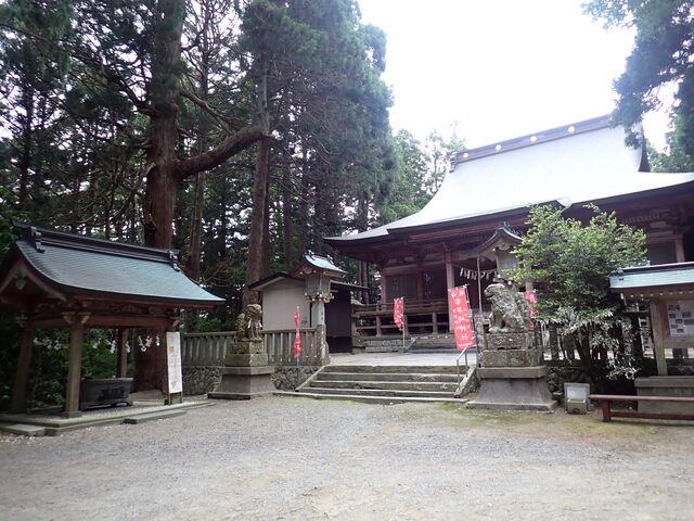 ��r��_��