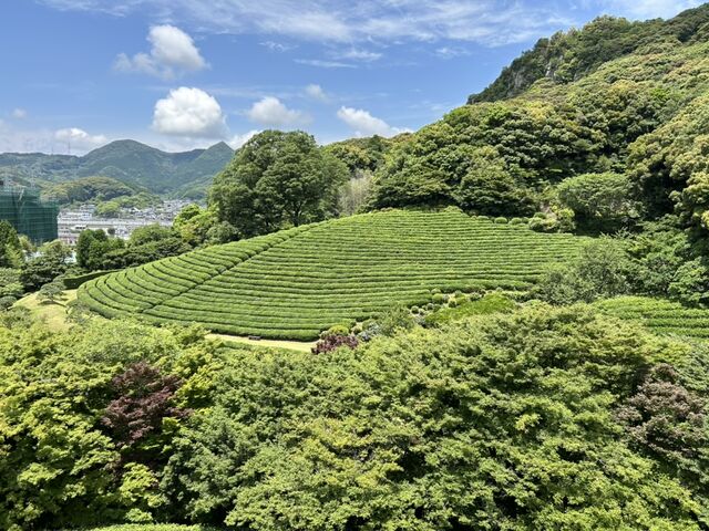 �d�F��_�z�����p�فE�d�F��