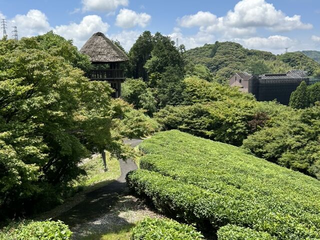 �d�F��_�z�����p�فE�d�F��