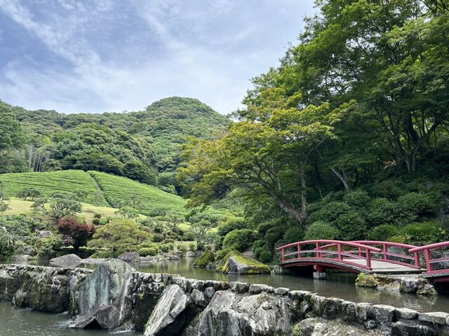 �d�F��_�z�����p�فE�d�F��