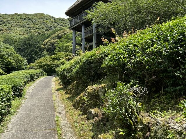 �d�F��_�z�����p�فE�d�F��