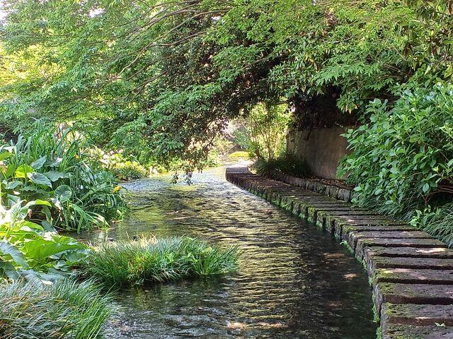 ������猹���q��̗V������_�����q��㗬�y�����̓��