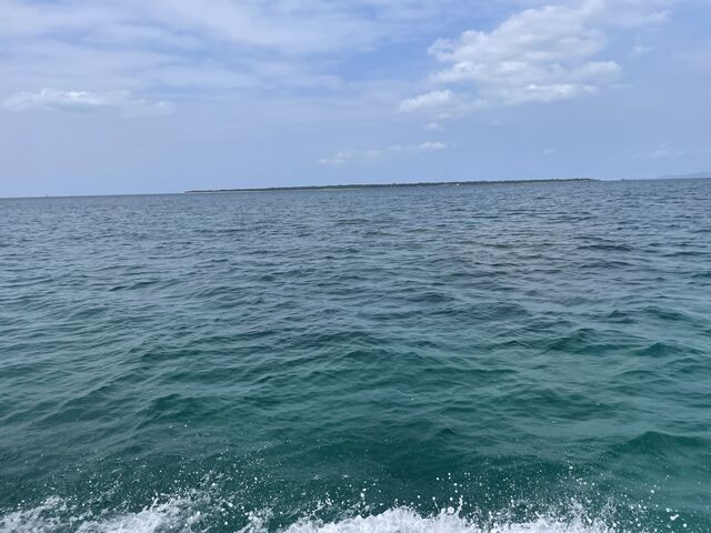 �D���猩���|�x����_�Ί_���D�ނ�̌��~���M�}����