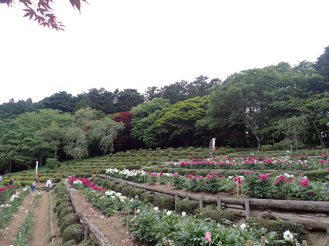 ��r��_��