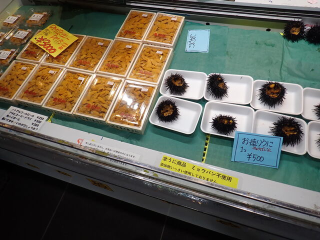 �V�[�p���s�A����