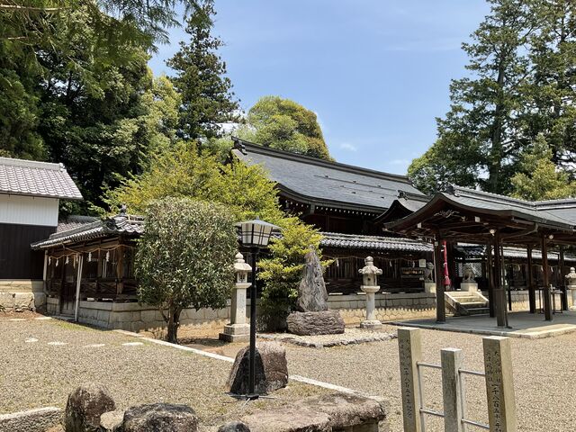 �}�C�a�n�n����̑哈�E���Ó��_�Ђ̓��e�ʐ^2