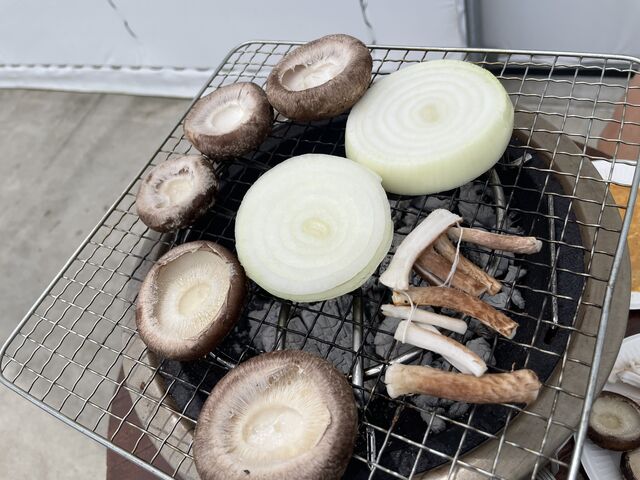 �����o�Ă�����H�ׂ��낾����^_^_���c���񂿂̒ő�